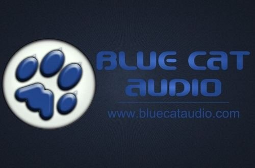 will waves 10 plugins work with blue cats patchwork