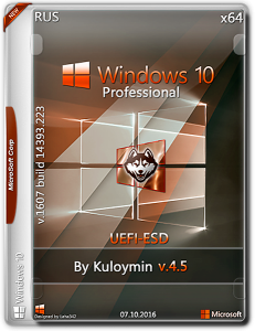 Windows 10 Pro / by kuloymin / v 4.5 / X64 / UEFI-esd / ~rus~