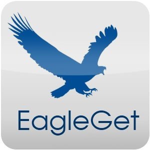 EagleGet 2.0.4.25 + Portable [Multi/Ru]