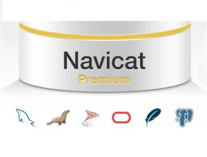 Navicat Premium 15.0.17 [En]