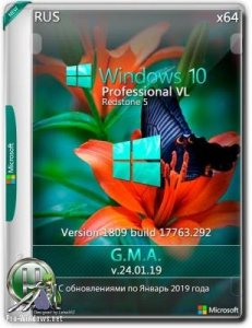 Windows 10 PRO VL RS5 x64 RUS G.M.A. v.24.01.19