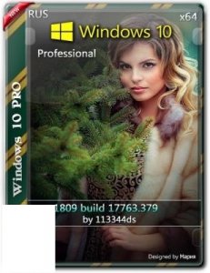 Windows 10 Pro RS5 (1809) build 17763.379 by 113344ds