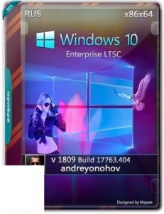 Windows 10 Enterprise LTSC 17763.404 Version 1809 [2in1] DVD