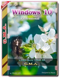 Windows 10 PRO 2004 GX CUSTOM v.19.02.20 (x64)