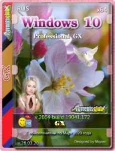 Windows 10 Профессиональная 2004 GX