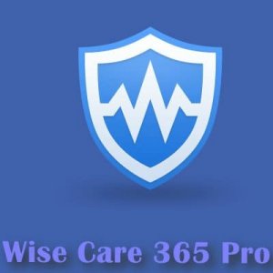 Wise Care 365 Pro 5.5.4.549 (Лицензия Comss) + Portable [Multi/Ru]