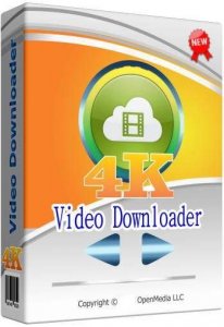4K Video Downloader 4.12.5.3670 (2020) PC | RePack & Portable by TryRooM