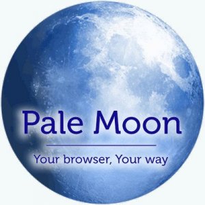 веб-браузер - Pale Moon 28.14.2 + Portable [Ru/En]