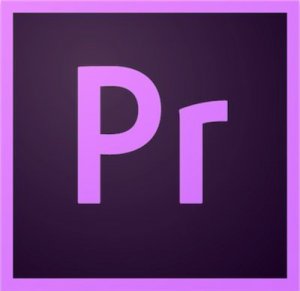 Adobe Premiere Pro 2020 14.6.0.51 [x64] (2020) PC | RePack by KpoJIuK