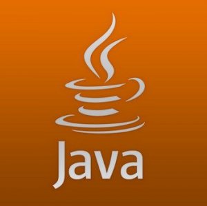 Java SE Runtime Environment 8.0.2810.9 [En]