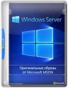 Windows Server 2019 LTSC Version 1809 Build 17763.1637 (Updated December 2020) Оригинальные образы от Microsoft MSDN [Ru/En]