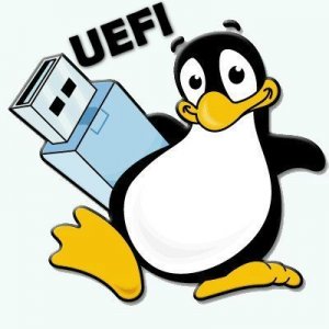 Your Universal MultiBoot Installer UEFI 0.0.3.6 Portable [En]