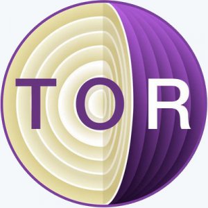 Tor Browser Bundle 13.5 (2024) PC