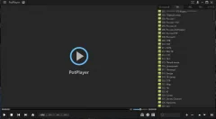 Daum PotPlayer 1.7.22859 — скриншот 4